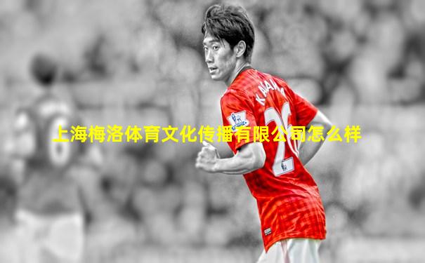 上海梅洛体育文化传播有限公司怎么样