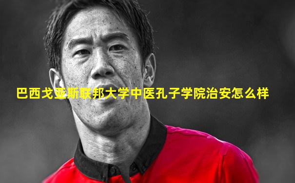 巴西戈亚斯联邦大学中医孔子学院治安怎么样