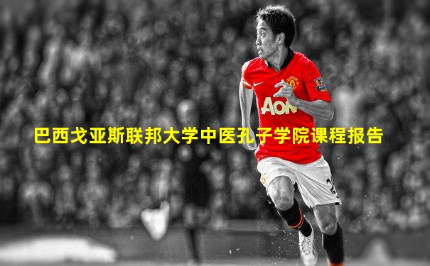 巴西戈亚斯联邦大学中医孔子学院课程报告