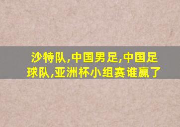 沙特队,中国男足,中国足球队,亚洲杯小组赛谁赢了