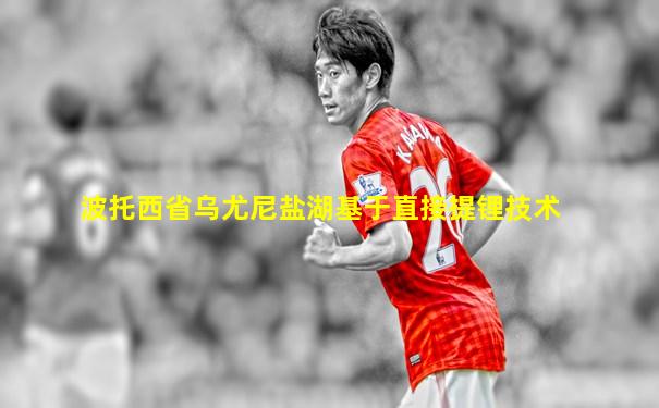 波托西省乌尤尼盐湖基于直接提锂技术