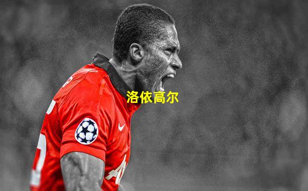 洛依高尔