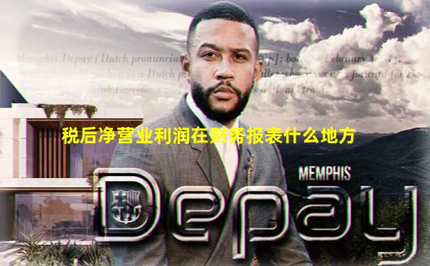 税后净营业利润在财务报表什么地方